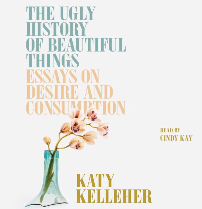 The ugly history of beautiful things : essays on desire and consumption